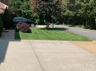Jason R.'s grass maintenance service result