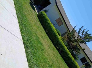 Frank T.'s grass cutting service result