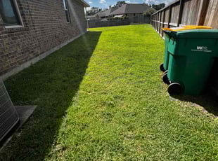 Lorraine C.'s lawn care services service result