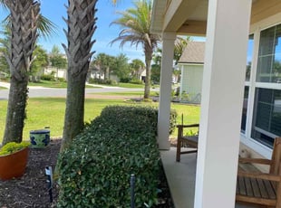 Pamela B.'s Bush Trimming service result