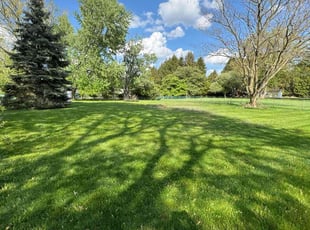 Nicole M.'s lawn maintenance service result