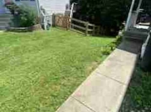 Mike B.'s turf maintenance service result