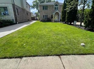 Odell D.'s lawn care service result