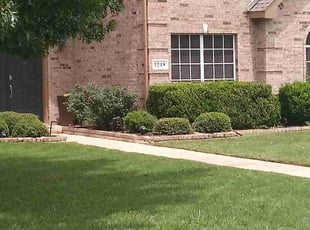 Shannon G.'s turf care service result
