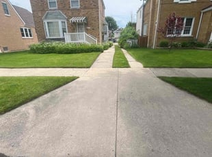 Elton C.'s turf care service result