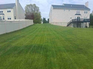 Terrence O.'s lawn service service result