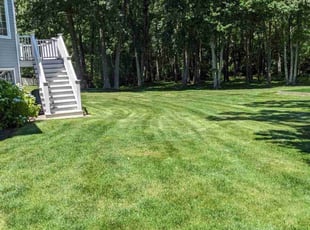 Valencia H.'s lawn care service result
