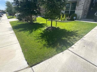 Amina M.'s lawn service service result