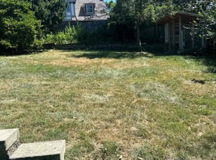 Leslie C.'s turf maintenance service result