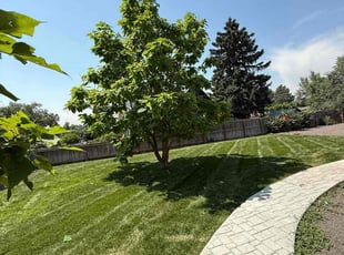 Henry L.'s turf care service result