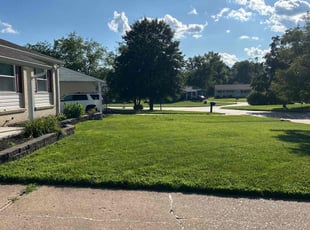 Adriana M.'s grass cutting service result