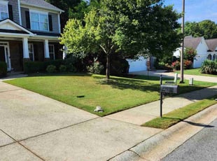 Mary M.'s turf care service result