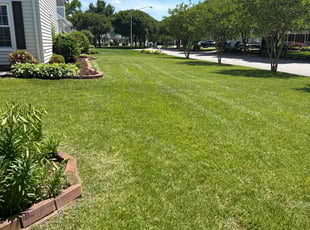 Chad M.'s turf maintenance service result