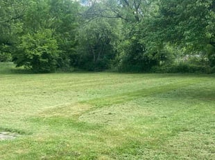 Linda C.'s turf care service result