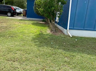 Debbie L.'s Bush Trimming service result