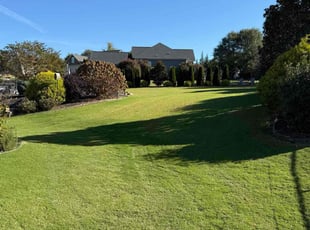 Jean D.'s lawn care services service result