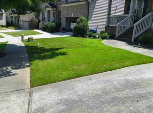 Salina D.'s lawn service service result