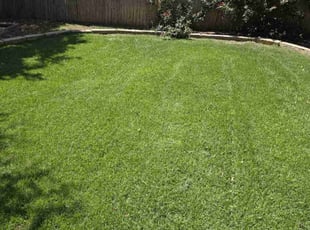 Michelle H.'s lawn service service result