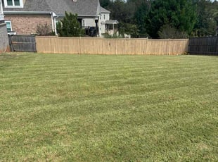 Patricia N.'s turf maintenance service result