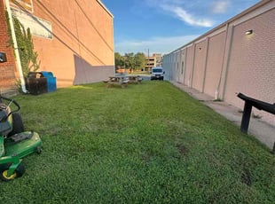 Kimber D.'s grass maintenance service result