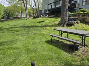 Pamela E.'s grass maintenance service result