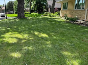 David M.'s lawn maintenance service result