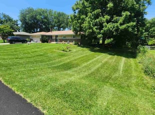 John P.'s grass cutting service result