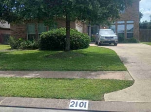 Latoria T.'s lawn service service result