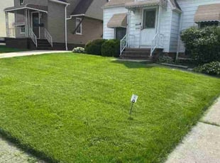 Brad S.'s lawn service service result