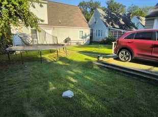 Tanya S.'s Bush Trimming service result