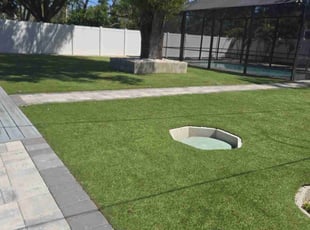 Patricia B.'s turf care service result