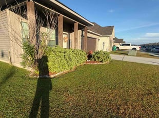 Shenequa H.'s Bush Trimming service result