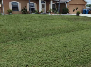 Mary E.'s lawn care services service result