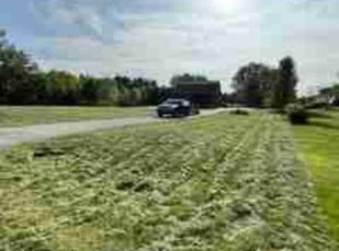 Frank T.'s grass maintenance service result