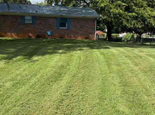 Polly S.'s lawn care services service result
