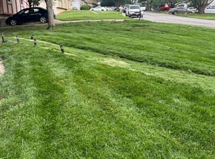 Troy G.'s turf maintenance service result