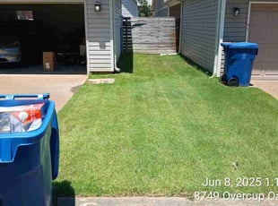 Giovanna S.'s grass maintenance service result