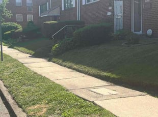 Gayle G.'s turf care service result