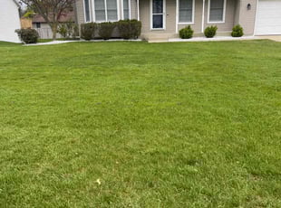 Erik P.'s turf maintenance service result
