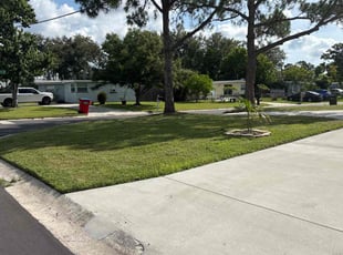 Matthew M.'s lawn maintenance service result