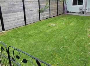 Jon W.'s grass cutting service result