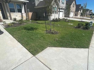 Patricia T.'s grass maintenance service result