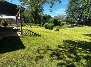 Sadat A..'s Bush Trimming service result