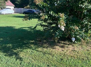 Jim E.'s lawn care services service result