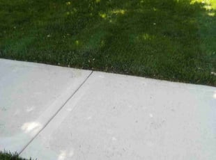 Nancy R.'s lawn care service result