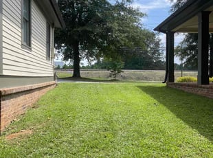 Pat D.'s turf care service result