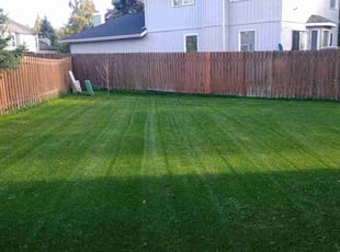 Allan M.'s lawn care services service result