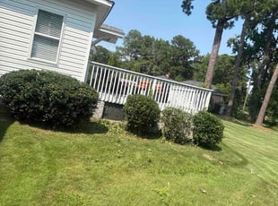 Kenneth A.'s Bush Trimming service result