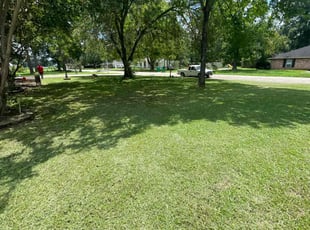 Jeni P.'s lawn maintenance service result