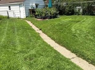 Hhfr D.'s turf maintenance service result